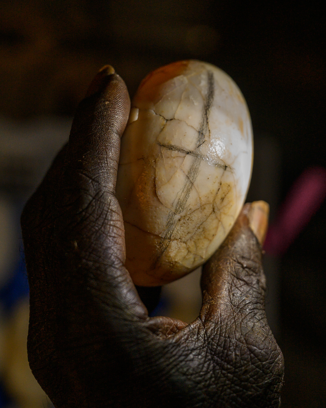 Crocodile Eggs — Matthew Abbott photography, Northern Territory Australia
