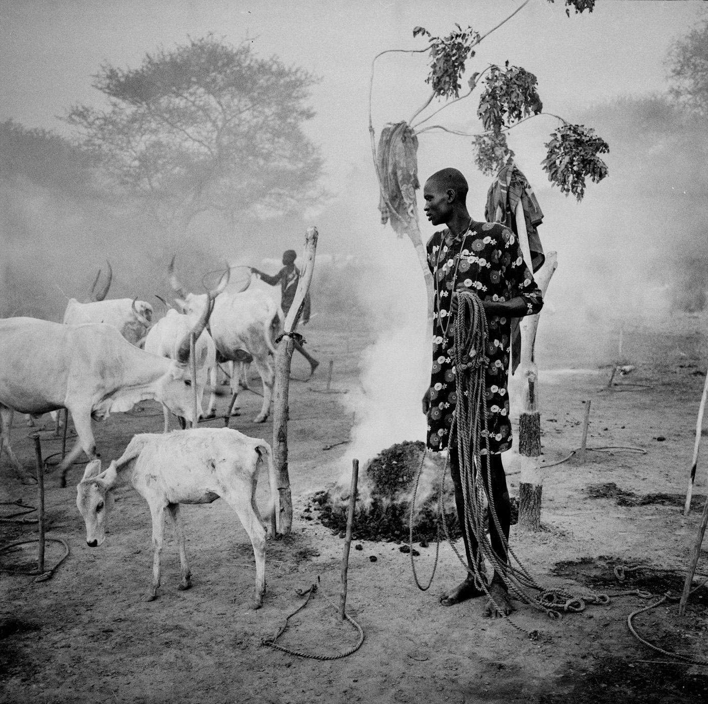 South Sudan Cattle Raiding — Matthew Abbott photojournalism