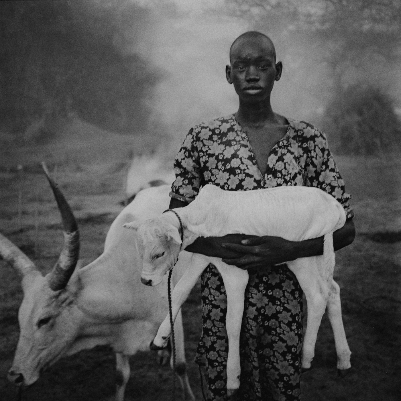 South Sudan Cattle Raiding — Matthew Abbott photojournalism