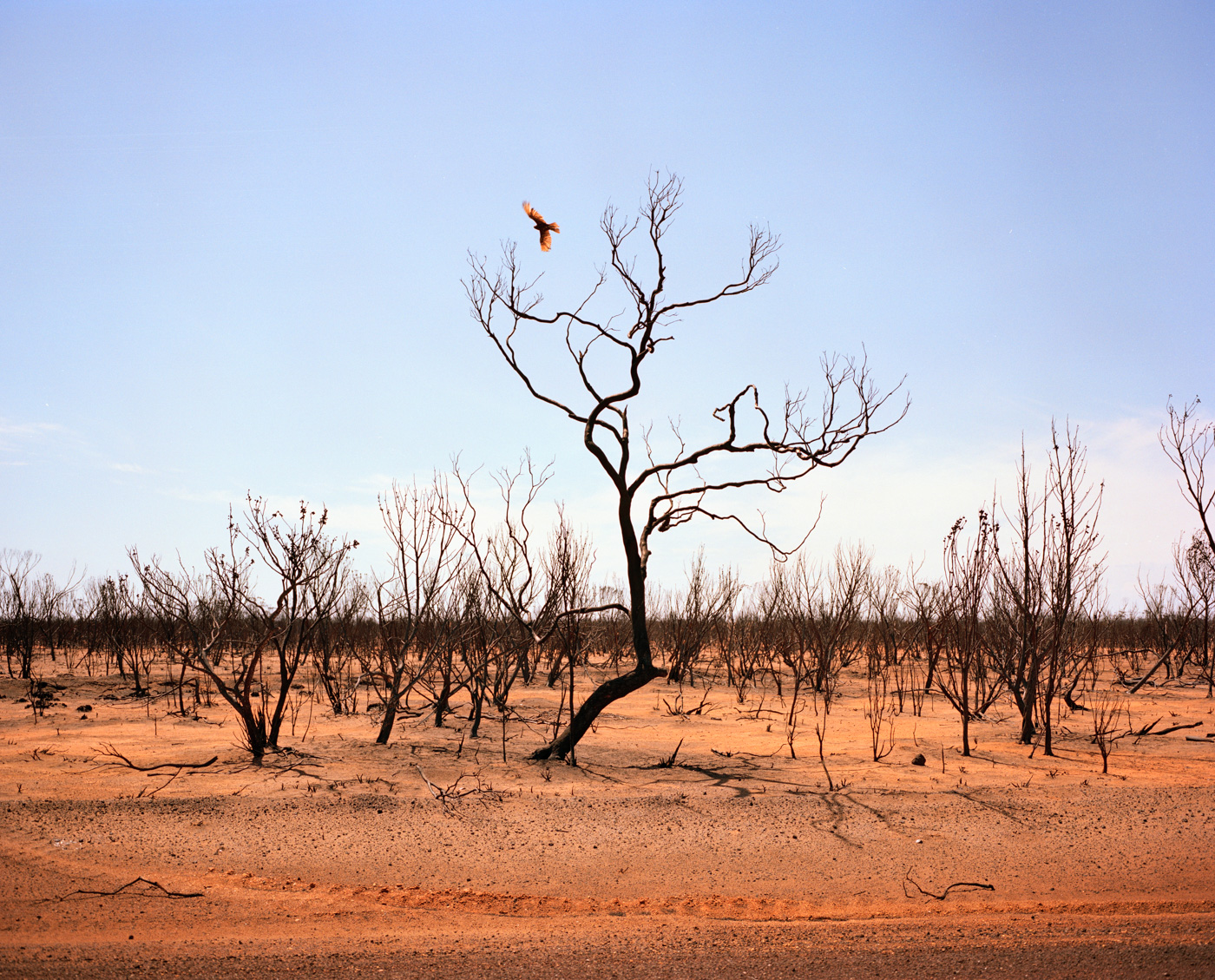 Highway One, Australia — Matthew Abbott photography