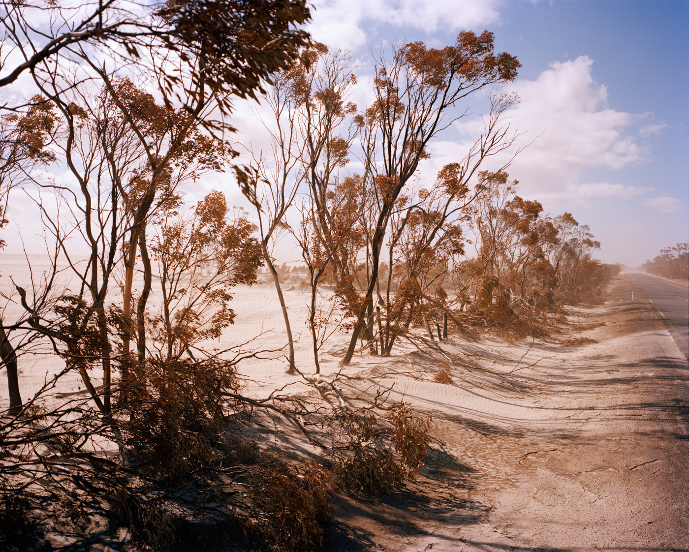 Highway One, Australia — Matthew Abbott photography