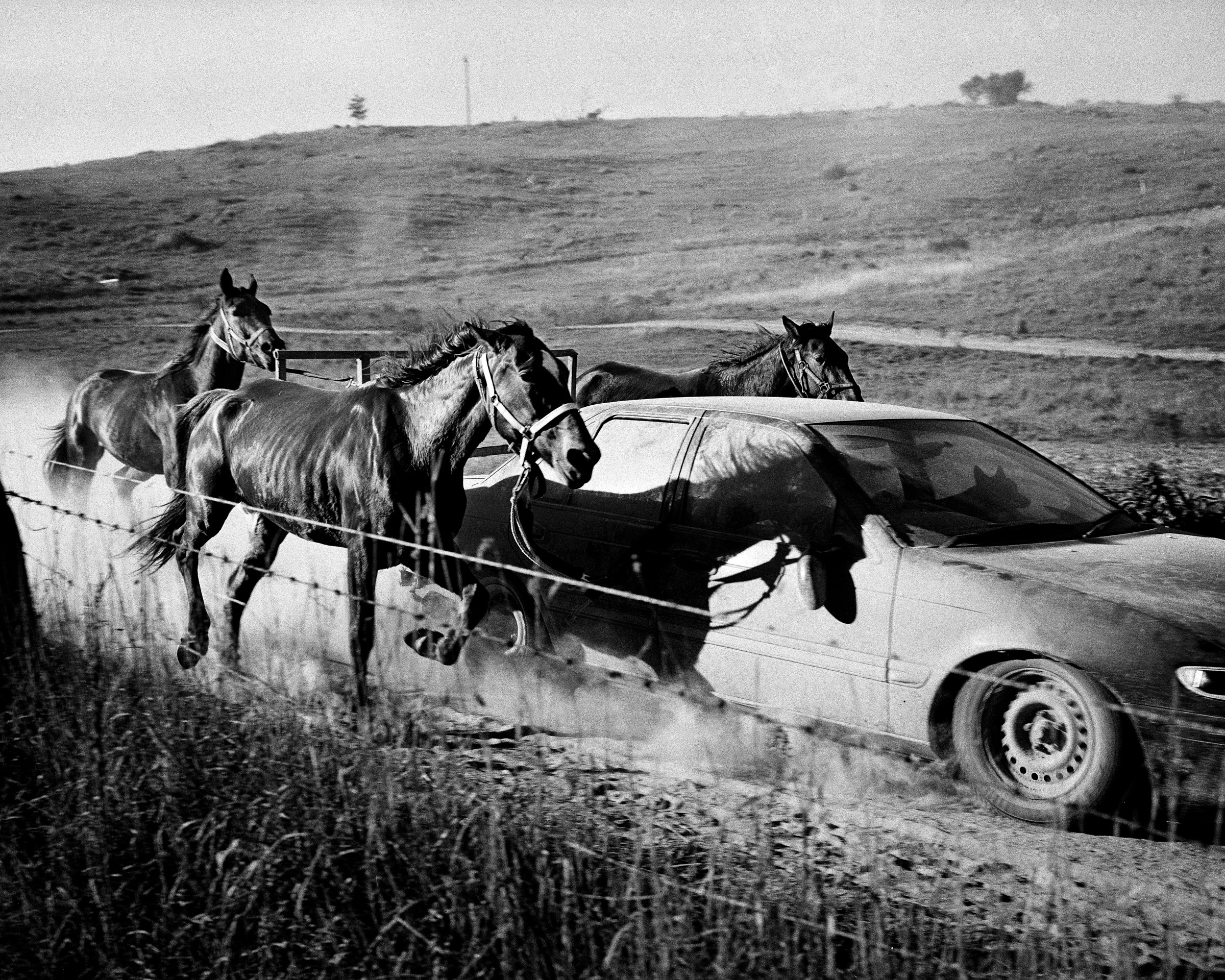 The Land Where the Crow Flies Backwards — Matthew Abbott documentary photography, outback Australia