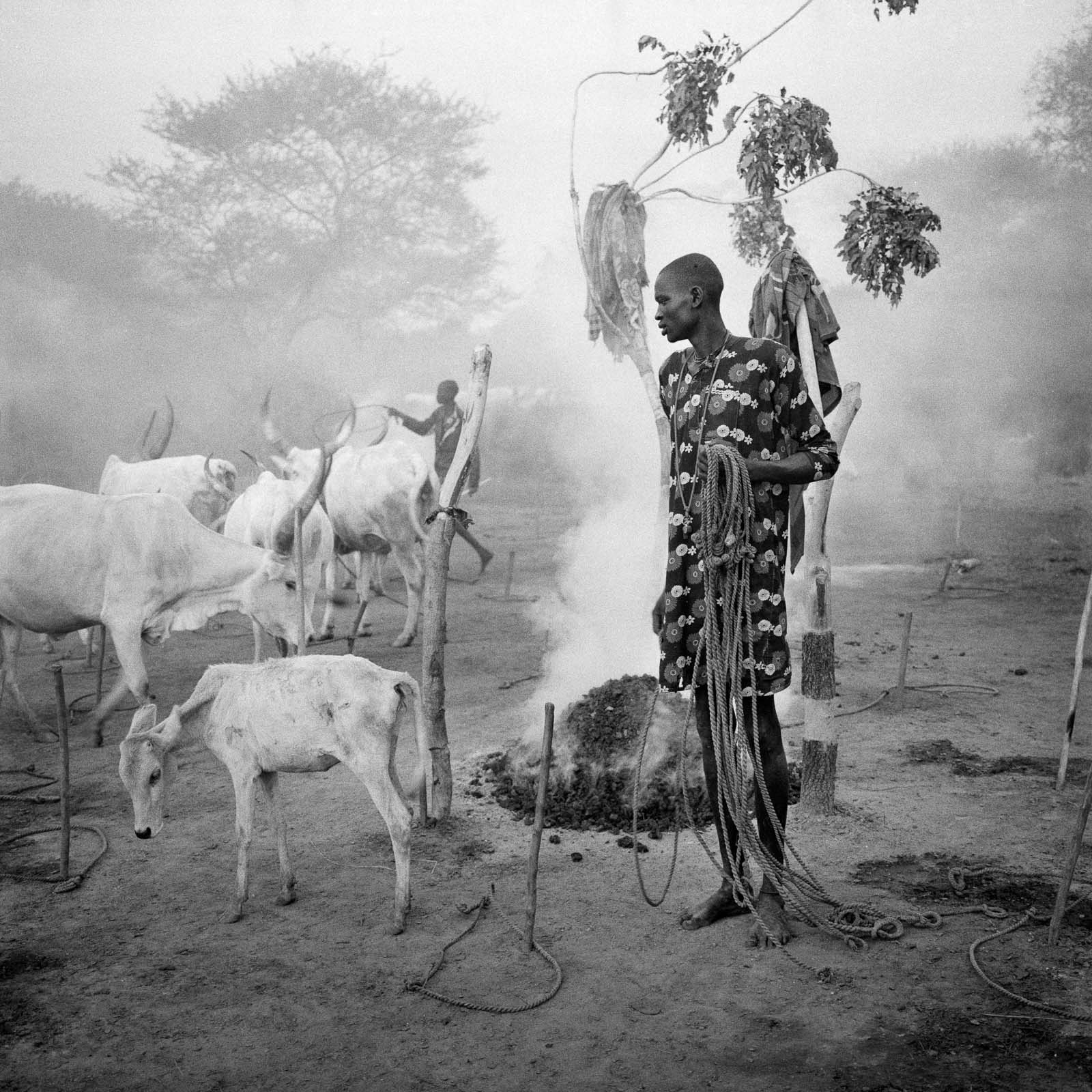 South Sudan Cattle Raiding — Matthew Abbott photojournalism