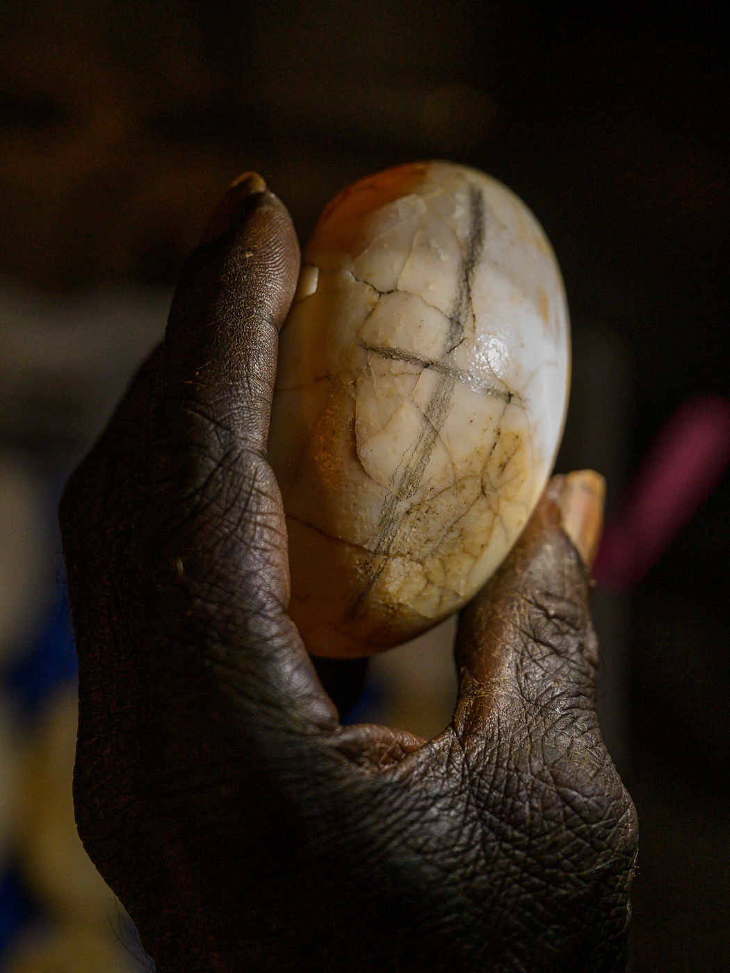 Crocodile Eggs — Matthew Abbott photography, Northern Territory Australia