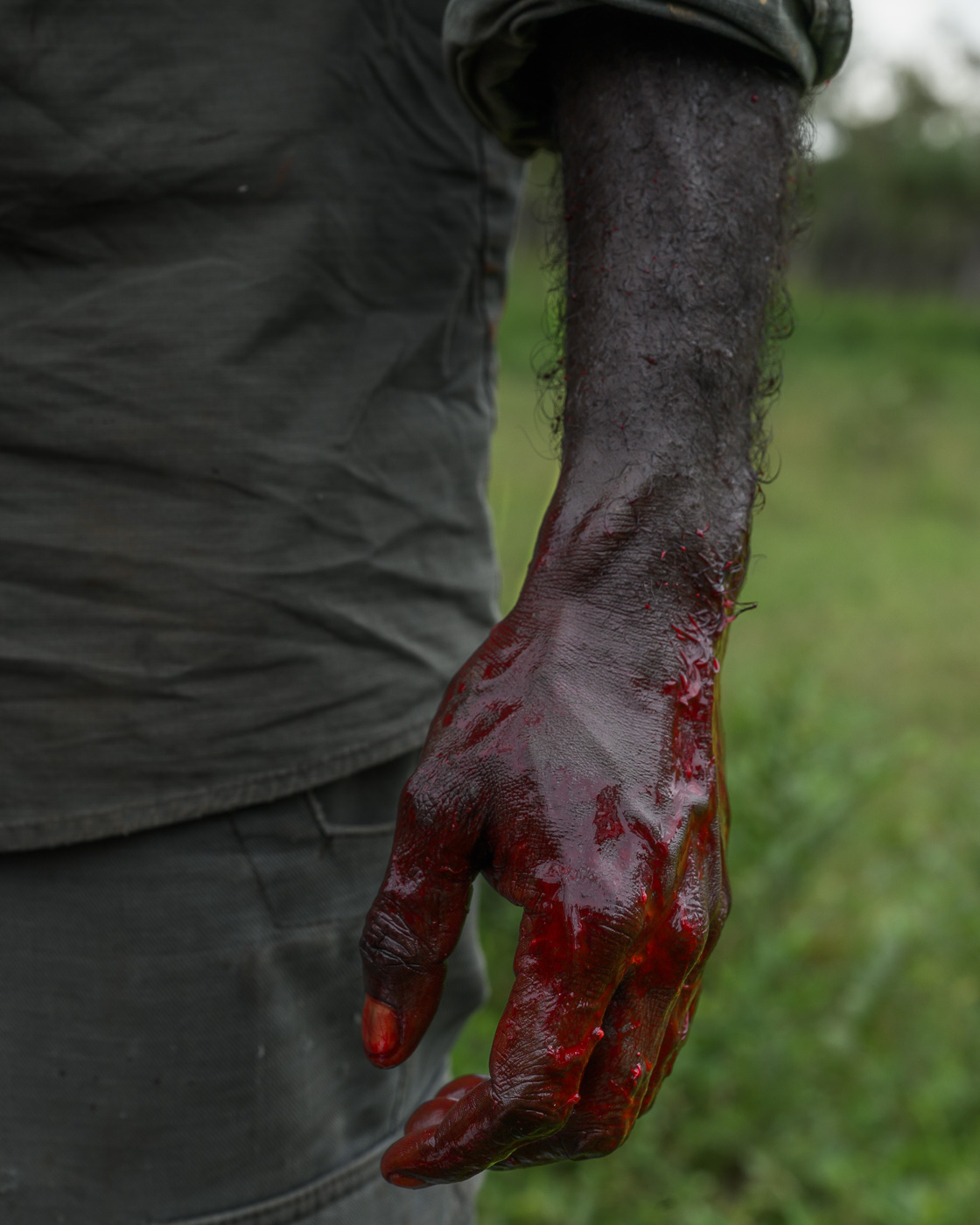 Crocodile Eggs — Matthew Abbott photography, Northern Territory Australia